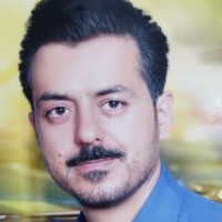 pasargadinsurance Employee Hosein Ramezani's profile photo