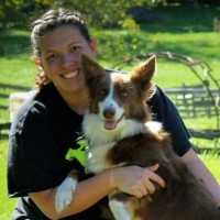 Carrie Sharp Email & Phone Number