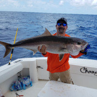 ABSOLUTE CALIBRATION Employee Billy Quinlan's profile photo