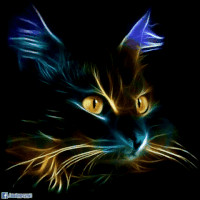 DESIG Employee Dasha Svetova's profile photo