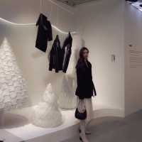 Serena Liu Email