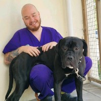 Cave Veterinary Specialists Ltd Employee Connor Nicholls's profile photo
