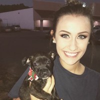 Ingles Markets, Inc. Employee Deanna Fleming's profile photo