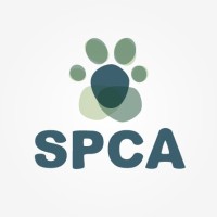 Caliber Collision Employee Michael Pozzi's profile photo