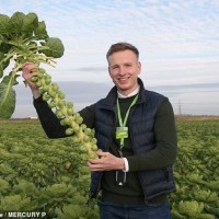 IPL International Procurement and Logistics Employee Ben Harrison's profile photo