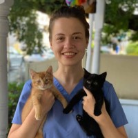 Animal Rescue League of Boston Employee Sophie Trakht's profile photo