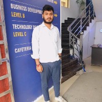 PEARL ORGANISATION™ Employee Ankit Chauhan's profile photo