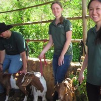 University of Hawaii at Manoa Employee Brittany Castle's profile photo