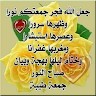 Mohamed Atefi Email