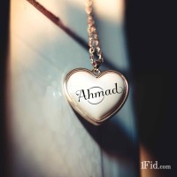 Ahmad Ashraf Email
