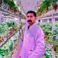 Muhammad Tarar Email