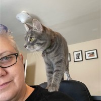 Glass House Farms Employee Cynthia Lugo's profile photo