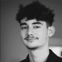 Louis Aschehoug Email