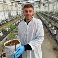 Alex Diachenko Email