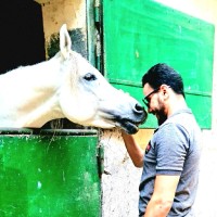 Tagerly Employee Amaar Sabry's profile photo