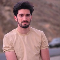 Arak Petrochemical Company Employee Mohamad Mahdavinik's profile photo