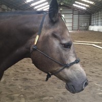 L&M Employee Denise Dell'angelo's profile photo