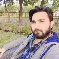 Sandex Corp Employee Aarif Khan's profile photo