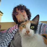 Mohammed Sisti's profile photo