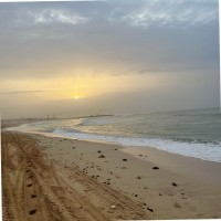 Data Academy Employee Rawan al-Alawi's profile photo