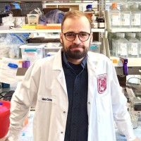WDS Inc. Employee Marco Craveiro's profile photo