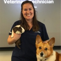 Samantha Johnson Email & Phone Number