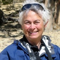 Practical Environmental Solutions Employee Pam Jenkins's profile photo