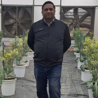 Biogene Seed Sciences Private Limited Employee Umeshchandra Shelkar's profile photo
