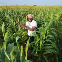 Alexander Kena Email & Phone Number