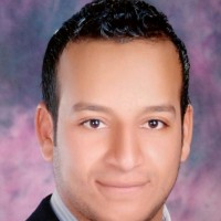 Alaa El-Kareem Email