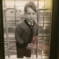 Adams & Company Employee Joel Mirrer's profile photo