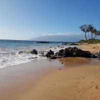 Waiward Industrial Employee Edward Tait's profile photo