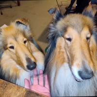 Greater Hartford Legal Aid Employee Brian Moore's profile photo