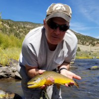 Strategus Employee Dan Ferguson's profile photo