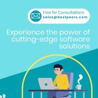 BestPeers - A CMMI Level 3 Company Employee Ankush Jain's profile photo