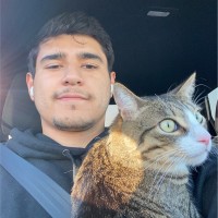 Window-ology Employee Nolan Kitsuse's profile photo
