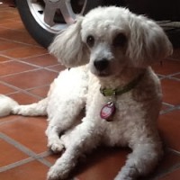 FINAFLEX Employee Jane Ramírez's profile photo