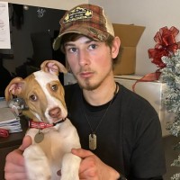 Brendan Steele Email & Phone Number
