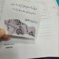Digital Egypt Cubs Initiative "DECI Employee Azza Saeed's profile photo