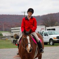 Virginia-Maryland College of Veterinary Medicine Employee Kristina Peacock's profile photo