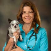 Stacy Robertson Email & Phone Number