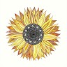 SEMCO Employee Erin Krall's profile photo