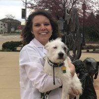 Eastern Animal Hospital Employee Taylor Dewitt's profile photo
