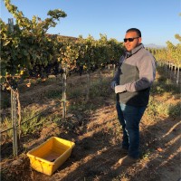 Rogelio Gaona Jr Email & Phone Number
