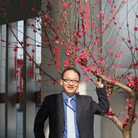 Andy Zhang Email