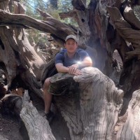 Alexander Simonson Email & Phone Number