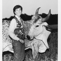 Willoughby Design, Inc. Employee Cara Willoughby's profile photo