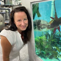 Aquarium Conservation Partnership Employee Kim McIntyre's profile photo