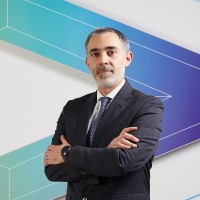 Michele D'Alessandro Email