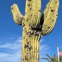 Scott Batterson Email & Phone Number